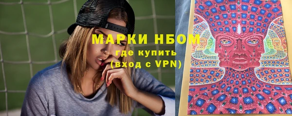 дмт Аркадак