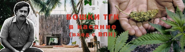дмт Аркадак