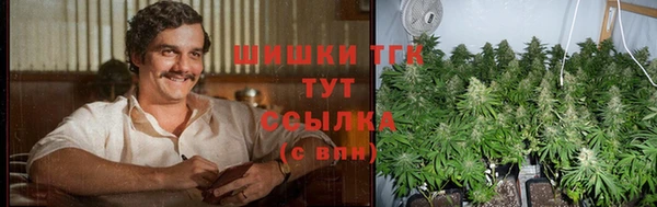 дмт Аркадак