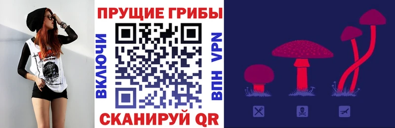 Псилоцибиновые грибы мухоморы  даркнет сайт  Пугачёв 